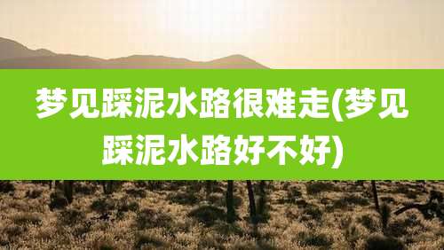 梦见踩泥水路很难走(梦见踩泥水路好不好)