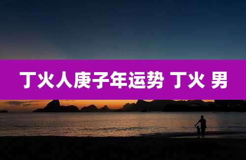 丁火人庚子年运势 丁火 男