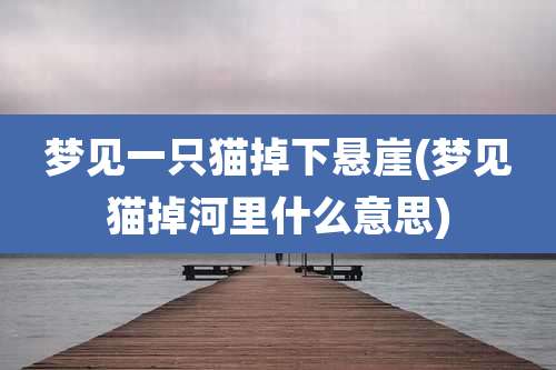 梦见一只猫掉下悬崖(梦见猫掉河里什么意思)