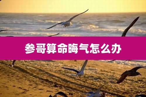 参哥算命晦气怎么办