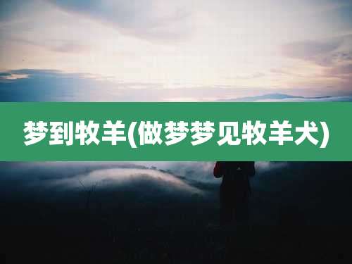 梦到牧羊(做梦梦见牧羊犬)