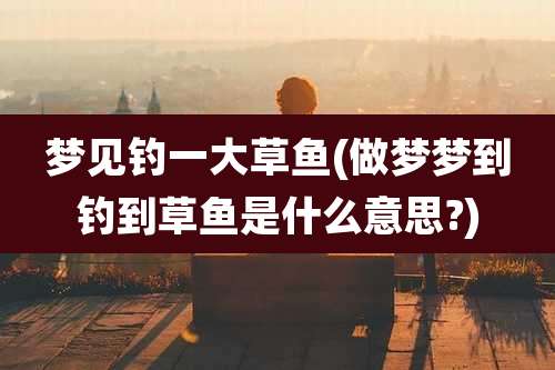 梦见钓一大草鱼(做梦梦到钓到草鱼是什么意思?)