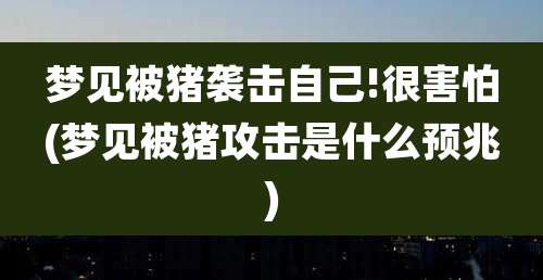 梦见被猪袭击自己!很害怕(梦见被猪攻击是什么预兆)