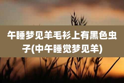 午睡梦见羊毛衫上有黑色虫子(中午睡觉梦见羊)