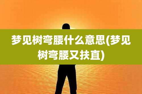 梦见树弯腰什么意思(梦见树弯腰又扶直)