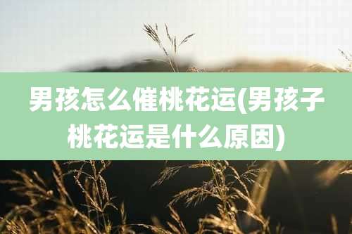 男孩怎么催桃花运(男孩子桃花运是什么原因)