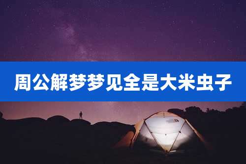周公解梦梦见全是大米虫子