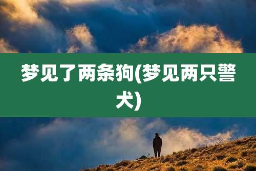 梦见了两条狗(梦见两只警犬)