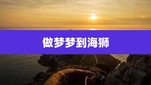 做梦梦到海狮
