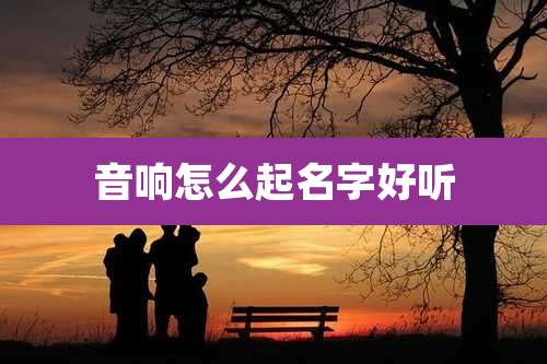 音响怎么起名字好听
