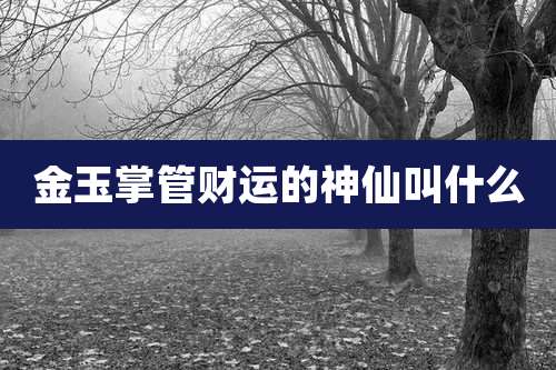 金玉掌管财运的神仙叫什么