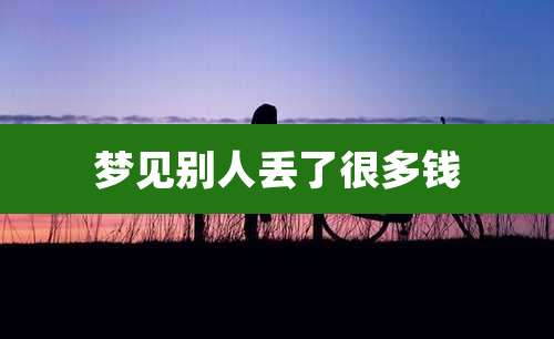 梦见别人丢了很多钱