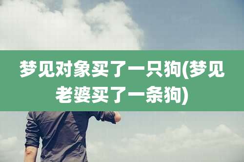 梦见对象买了一只狗(梦见老婆买了一条狗)