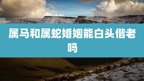 属马和属蛇婚姻能白头偕老吗