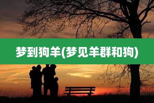梦到狗羊(梦见羊群和狗)