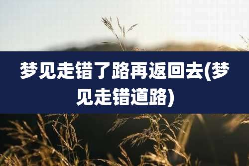 梦见走错了路再返回去(梦见走错道路)