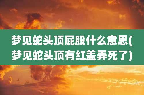 梦见蛇头顶屁股什么意思(梦见蛇头顶有红盖弄死了)