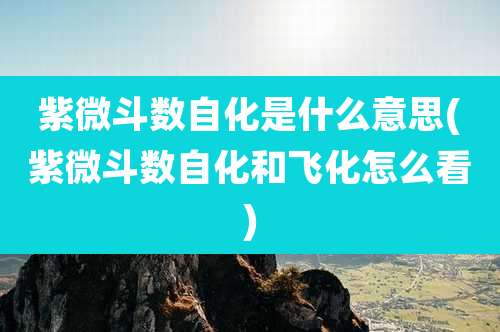紫微斗数自化是什么意思(紫微斗数自化和飞化怎么看)