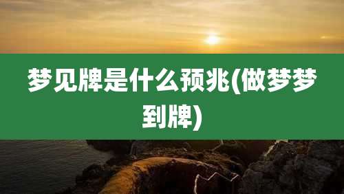 梦见牌是什么预兆(做梦梦到牌)