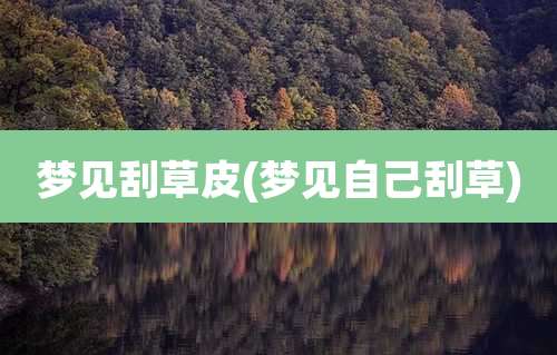 梦见刮草皮(梦见自己刮草)