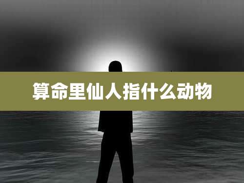 算命里仙人指什么动物