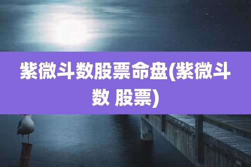 紫微斗数股票命盘(紫微斗数 股票)