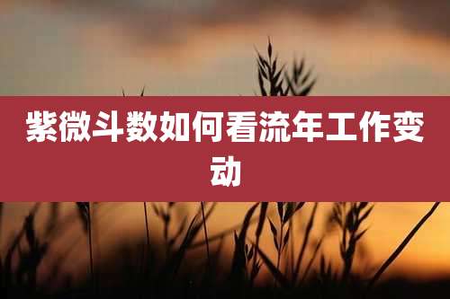 紫微斗数如何看流年工作变动
