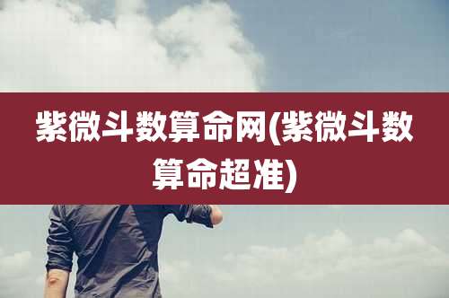 紫微斗数算命网(紫微斗数算命超准)