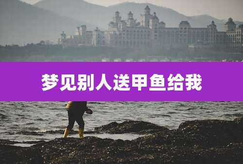 梦见别人送甲鱼给我