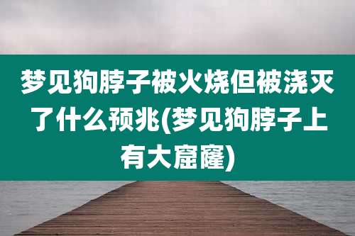 梦见狗脖子被火烧但被浇灭了什么预兆(梦见狗脖子上有大窟窿)