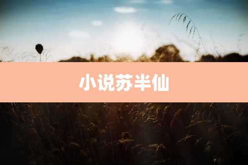 小说苏半仙