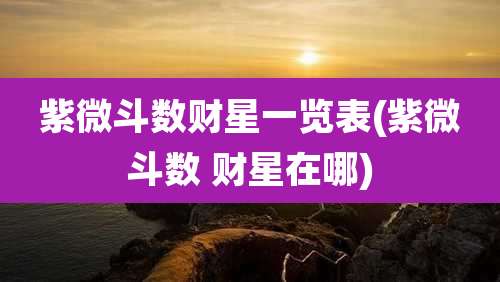 紫微斗数财星一览表(紫微斗数 财星在哪)