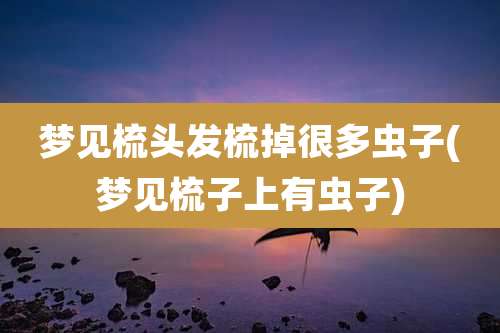 梦见梳头发梳掉很多虫子(梦见梳子上有虫子)