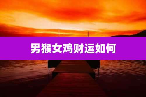 男猴女鸡财运如何