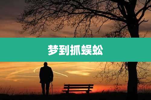 梦到抓蜈蚣