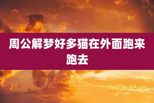 周公解梦好多猫在外面跑来跑去