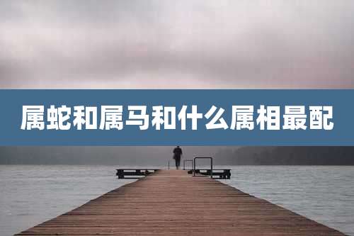 属蛇和属马和什么属相最配