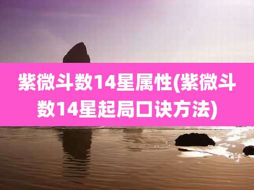 紫微斗数14星属性(紫微斗数14星起局口诀方法)