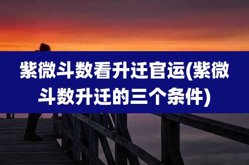 紫微斗数看升迁官运(紫微斗数升迁的三个条件)