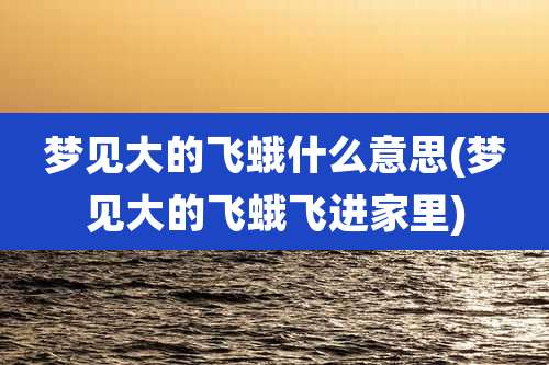 梦见大的飞蛾什么意思(梦见大的飞蛾飞进家里)