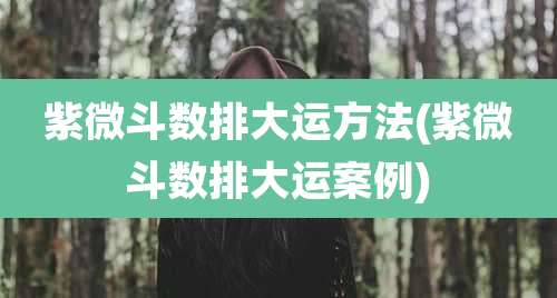 紫微斗数排大运方法(紫微斗数排大运案例)