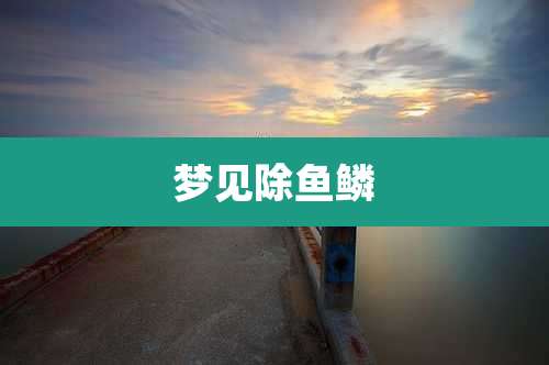 梦见除鱼鳞