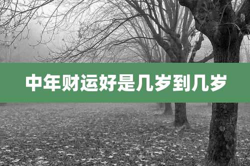 中年财运好是几岁到几岁