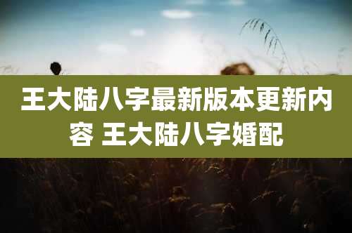 王大陆八字最新版本更新内容 王大陆八字婚配
