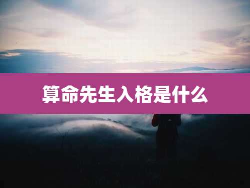 算命先生入格是什么