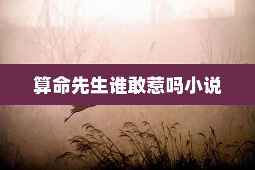 算命先生谁敢惹吗小说