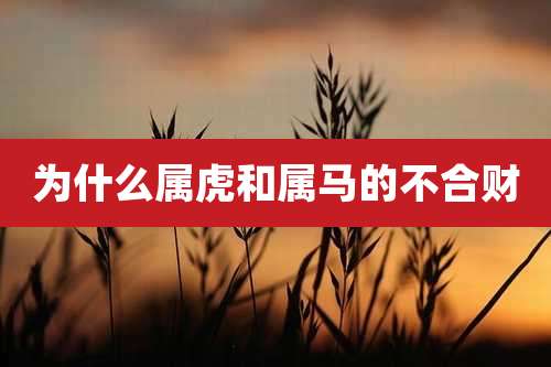 为什么属虎和属马的不合财