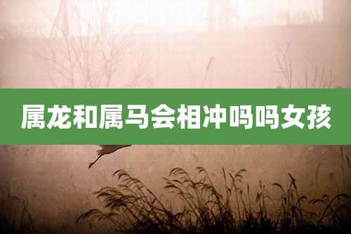 属龙和属马会相冲吗吗女孩