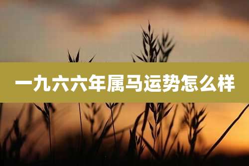 一九六六年属马运势怎么样