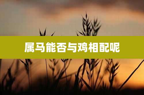 属马能否与鸡相配呢